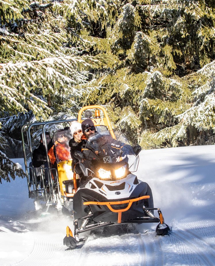 Activités Chalet du Loup