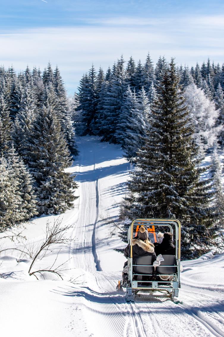 activité hiver - Le Chalet du Loup