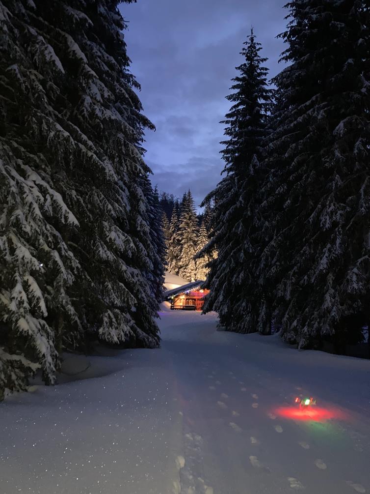 Nature Mariage Foret Le chalet du Loup